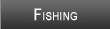 Hillsdale Lake Fishing